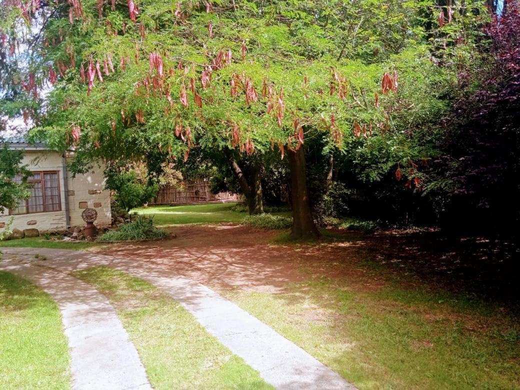 Rheola'S Guest Cottage 해리스미스 외부 사진